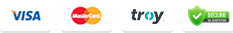 payment